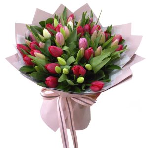 MIX TULIPANES