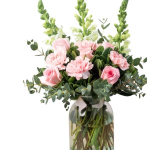 ROSA MIA