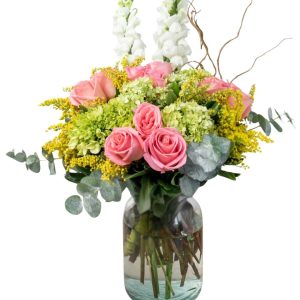 DELICADEZA
