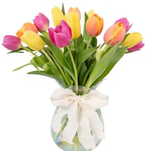 TULIPANES